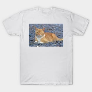 Kitty Friend T-Shirt